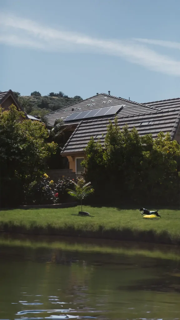 Solar Panel 3Kwt in Ukraine near by the lake and jumping dog